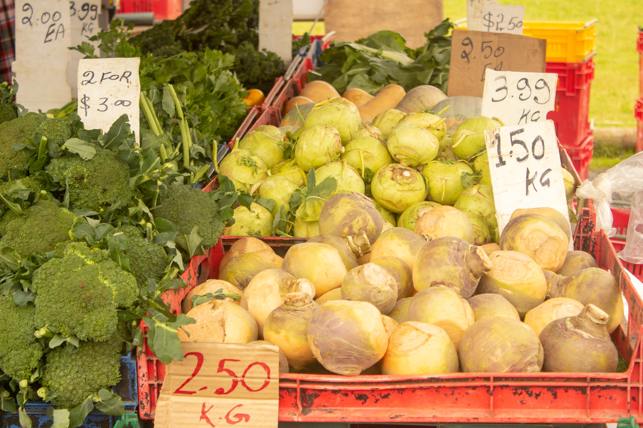 IMG_8037 veges sold at the auckland eastern markets