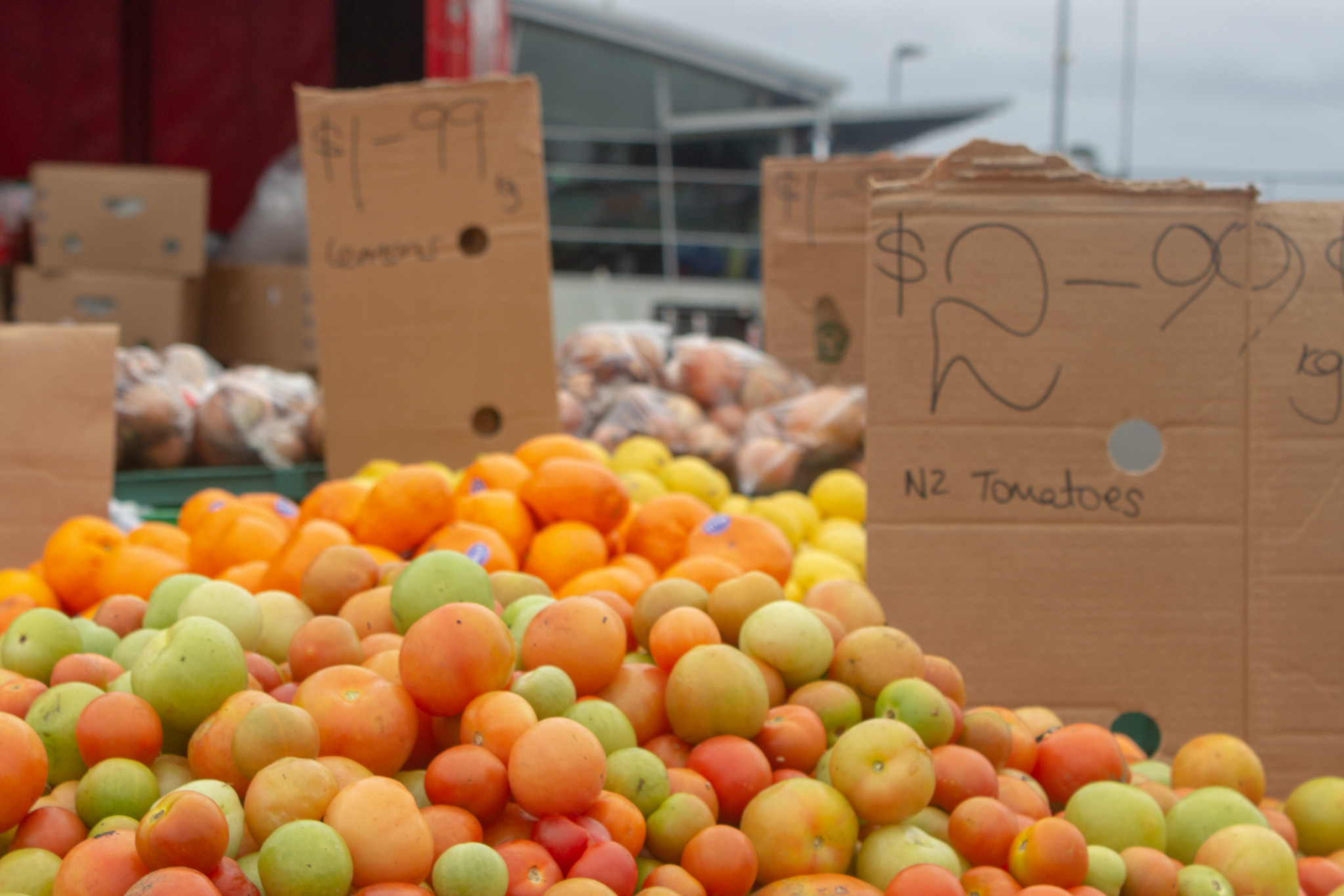 oranges at the otahuhu phoenix markets